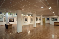 Museo-Rafael-Requena