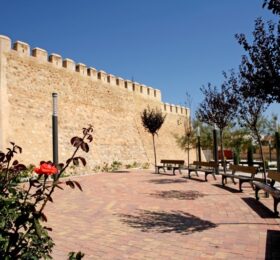 Aparición puntual de insectos inofensivos en la zona del Castillo