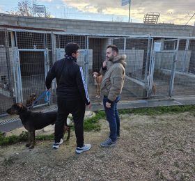 El concejal de Medio Ambiente visita el albergue canino municipal en Nochebuena y destaca el gran trabajo realizado durante 2025