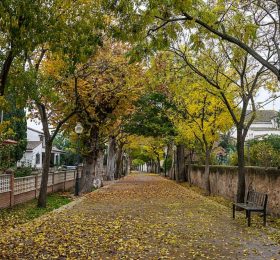25,4 m² de zonas verdes por vecino: Caudete refuerza su pulmón verde