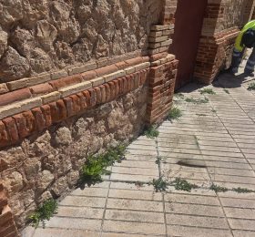 Adelanto de los trabajos de desbroce manual en el casco urbano