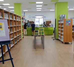 Biblioteca-publica-entrada-portada