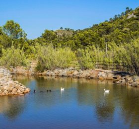 La Toconera, preparada para unas celebraciones responsables