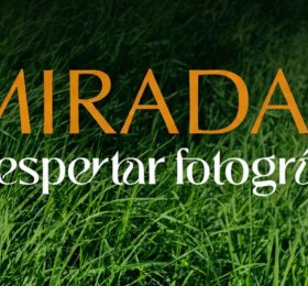 El despertar fotográfico: una exposición que invita a detener la mirada en lo cotidiano