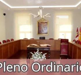 Convocatoria del Pleno Ordinario del 28 de mayo