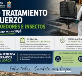 Nuevo tratamiento de refuerzo frente a roedores e insectos en todo el término municipal
