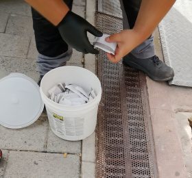18 roedores recogidos desde el 11 de agosto mientras se refuerzan las actuaciones para controlar su presencia