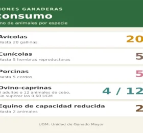 Los vecinos de Caudete siguen beneficiándose de la medida que facilita el autoconsumo ganadero en la localidad.